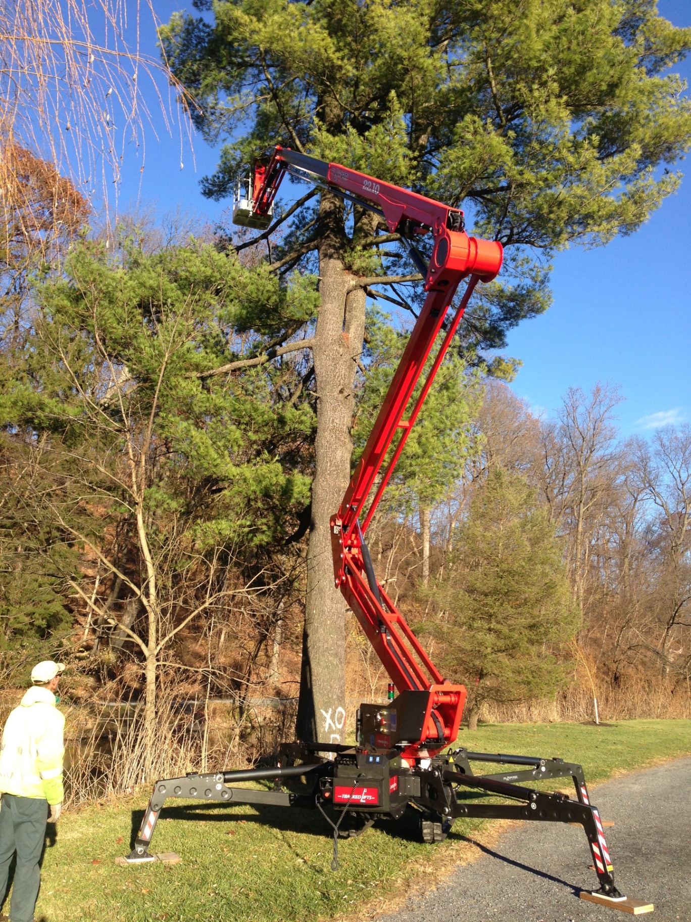 Arborist